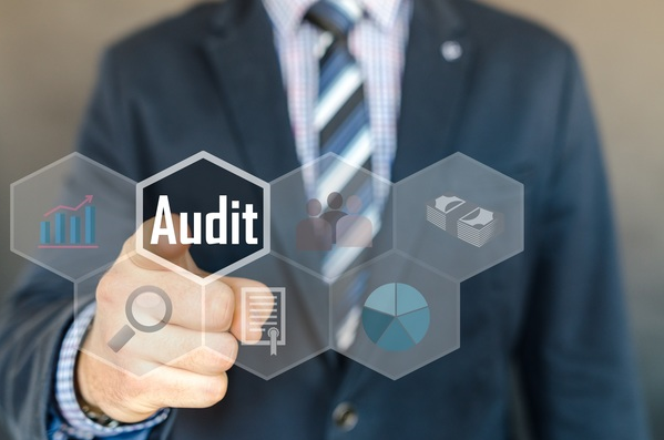 governanceaudit